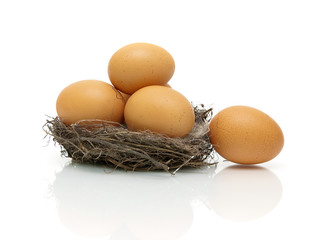 chicken eggs in a nest on a white background with reflection