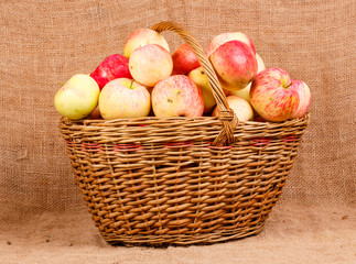 Basket with  apples
