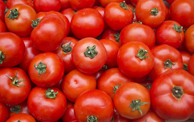 fresh tomatoes