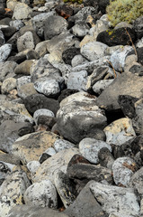 Round Stones Texture