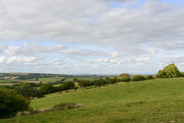 Fototapeta na wymiar grass fields in hilly countryside, Cornwall