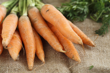 Fresh carrot with green tops