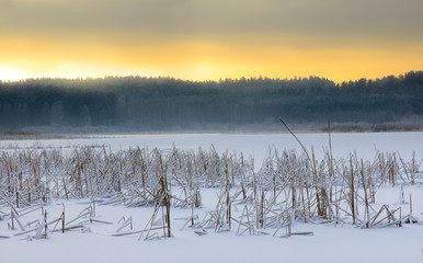 Zimowe Piękno © Wojciech Lisiński
