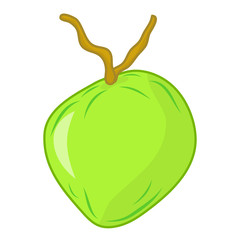 coconut isolated illustration