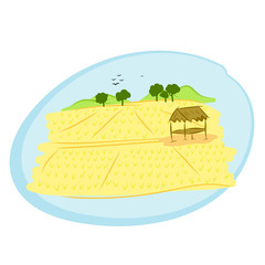 thai rice field