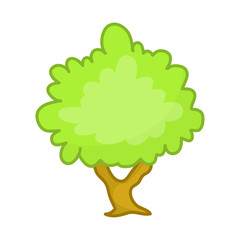 tree isolated illustration