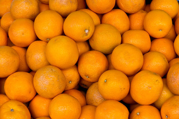 Group of oranges - background