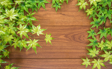 Maple leaf with wooden background