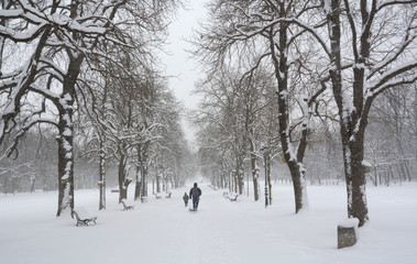 Fototapeta na wymiar snow in the park