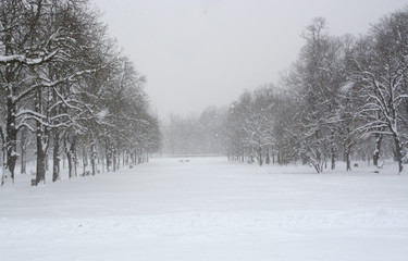 Fototapeta na wymiar snow in the park
