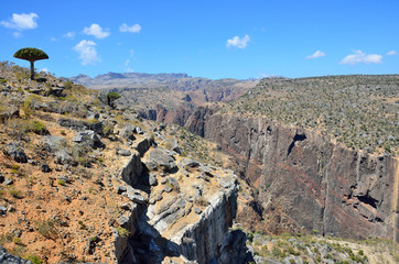 Ущелье в горах Сокотры, Йемен