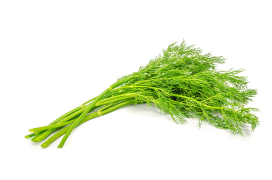 bunch dill herb isolated on white background