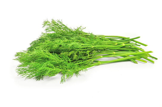 Fresh branches of green dill isolated on white