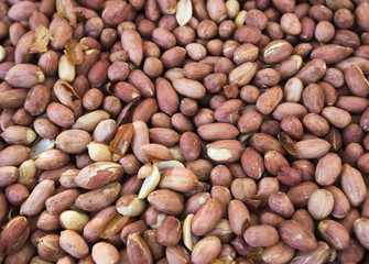 Peanut