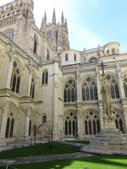 Fototapeta premium burgos