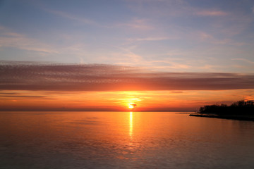 Sunset with trees at the side in Toronto