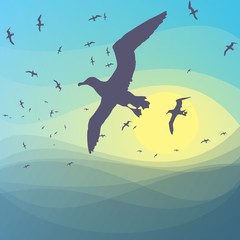 Полет чайки над морем