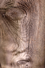 wooden planks