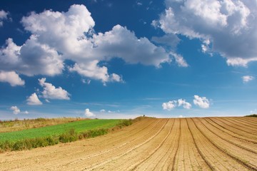 Fototapeta premium Summer Sky