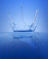 Splash - water crown
