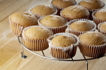 cupcakes, freshly baked