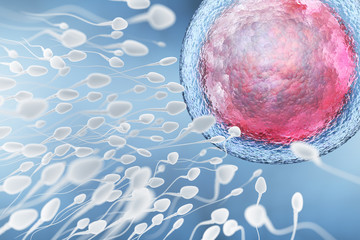 Illustration of sperm and egg cell - obrazy, fototapety, plakaty