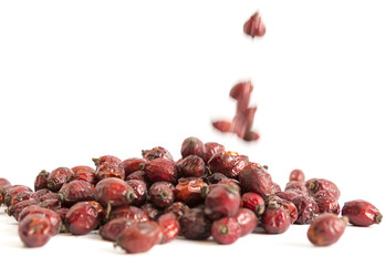 Dried rose hip briar