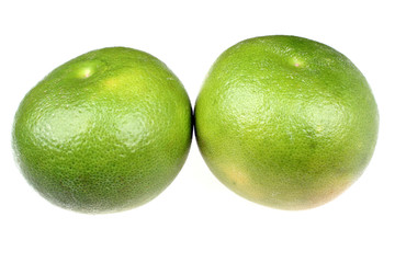 Green grapefruit sweetie