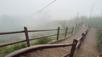 stairway in Sri Lanka