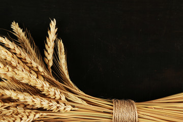 Spikelets of wheat on black wooden background