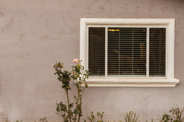 Fototapeta na wymiar Exterior Window