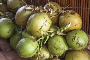 Green coconuts