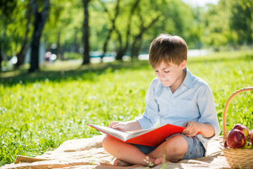 Boy in summer park