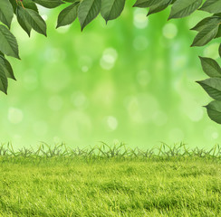 Fototapeta premium bright green background with grass and foliage