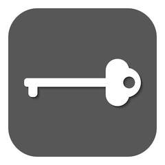 The key icon