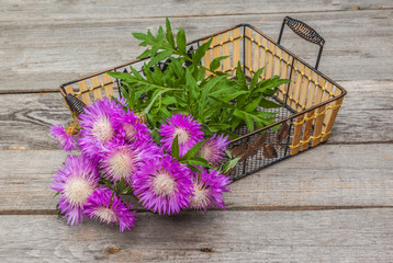 Bouquet of purple cornflowers