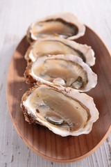 oyster
