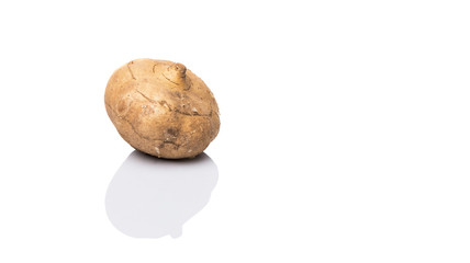 Jicama or Mexican yam over white background 