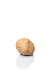 Jicama or Mexican yam over white background 