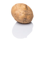 Jicama or Mexican yam over white background 