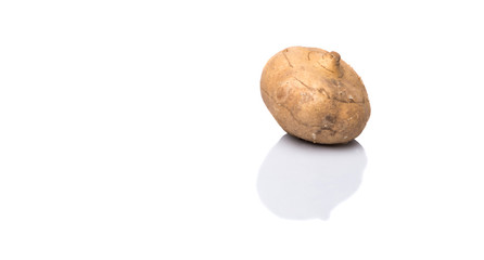 Jicama or Mexican yam over white background 