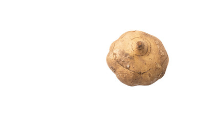 Jicama or Mexican yam over white background 