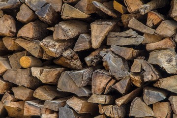 Log Wood for constrution Buid