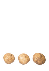Fototapeta premium Jicama or Mexican yam over white background 