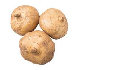 Fototapeta premium Jicama or Mexican yam over white background 
