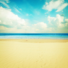 sea shore with blue sky
