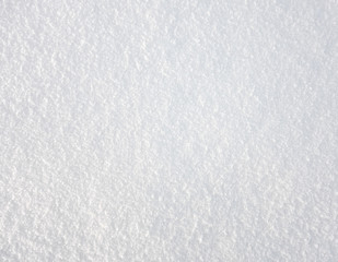 Obraz premium fresh snow