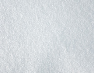 Obraz premium fresh snow