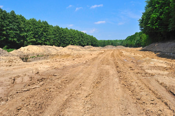 dirt clay road near trees