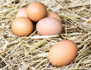 Chicken eggs on a straw bazaar counter